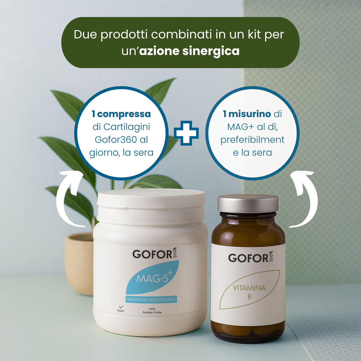 Kit Stress | Cortisolo